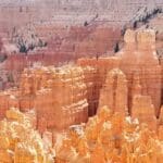 Hoodoos Of Bryce Canyon National Park