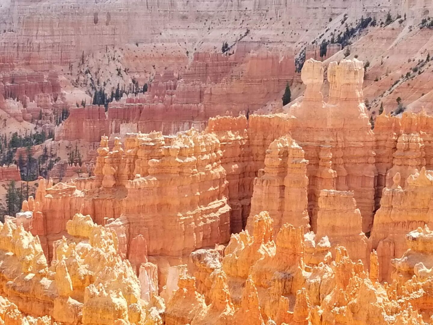 Bryce Canyon orange hoodoos under bright sunlight