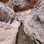 Zion National Park Tour Pic By Stephanie Hartsel