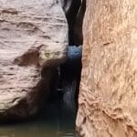 Canyon Adventure Tour Pic By Stephanie Hartsel