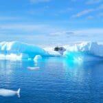 Beautiful Antarctica