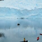 Antarctica Island Pic By Stephanie Hartsel
